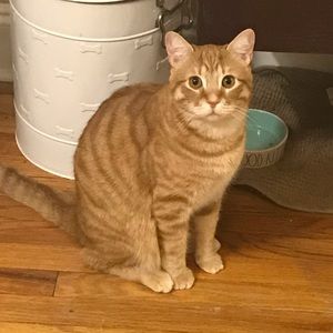 Meet your Posher, Don